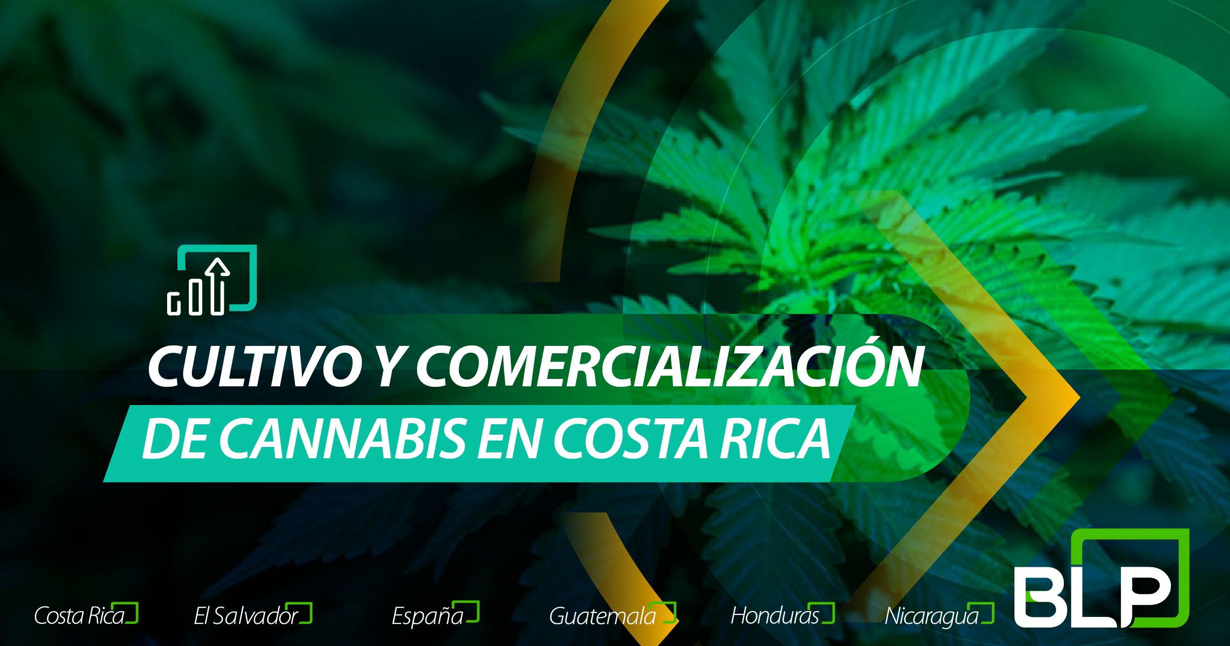 Oportunidades de Negocio con el Cultivo y Comercialización del Cannabis en Costa Rica.