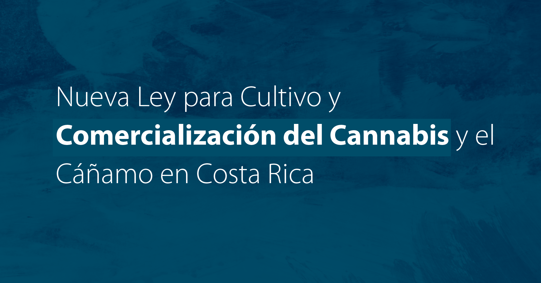 Nueva Ley para Cultivo y Comercialización del Cannabis y el Cáñamo en Costa Rica 