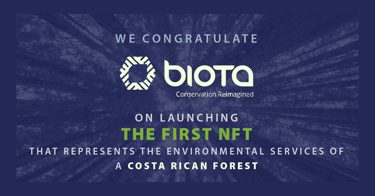 BIOTA the first NFT that represents the environmental services of a Costa Rican forest