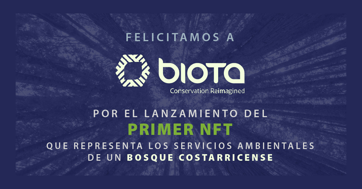Biota el primer NFT que representa los servicios ambientales de un bosque costarricense.