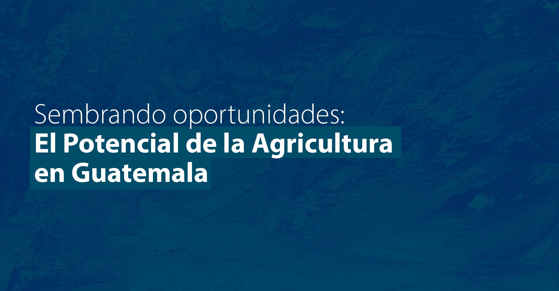 Sembrando Oportunidades: El Potencial de la Agricultura en Guatemala